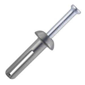 Wensilon 1/4x3/4 Hammer Drive Nail in Anchor (100 per Box) Cement hammering Anchors (Zinc alloy)
