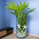 Resin Starfish Seashells Starfish Decor Sea Shells for Crafting Starfish Pendant for DIY Wedding Decoration,Beach Shells Vase Filling,Fish Tank Sea Shell Decor Shell Wall Decor(26, White)