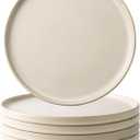 AmorArc Ceramic Dinner Salad Plates Set of 6, 8.0 Inch Reactive Matte Glaze Dish Set, Dessert, Salad, Appetizer, Small Dinner Plate, Microwave, Dishwasher Safe, Scratch Resistant, Ivory