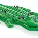 INTEX Inflatable Pool Float: Pool Toy for Kids