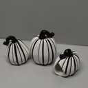 Transpac 3-Piece Dolomite 6.25" Black & White Pumpkins Decor Halloween Autumn Fall Harvest Tabletop End Table Kitchen Table Fireplace Mantle Decoration Multicolor