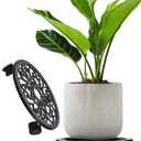 2WAYZ Plant Stand with Wheels - Heavy-Duty Rolling Plant Caddy - Dolly Base with Roller for Large Potted Plants and Flower Pot - Ideal for Indoor and Outdoor Planters - Set of 1 - Black