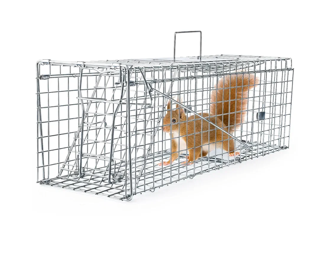 Mouse Traps Indoor for Home, 24 Inch Enlarge Humane Mouse Traps with Brush Live Rat Trap Outdoor Catch and Release, No Kill Mice Trap Reusable for Mouse Rat, Chipmunks, Mole, Rodent, Pet Safe