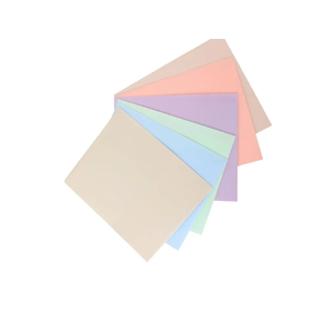 4 pcs Macaron Color Folder File Folders Double Pocket Folders Business Card Holder Folders Business Folder Plastic Document Organizer Plastic File Organizer Document Folder Pp