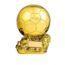 ADLUH The Golden Globe Trophy Can Be DIY The Individual Award for Best Honor Gold Ball Football Championship Award MVP Collectible Fan 9.5in
