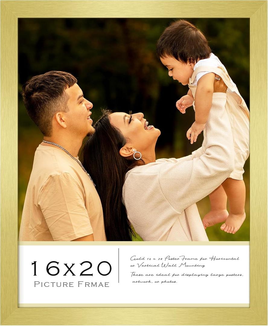 16x20 Picture Frame, Classic Gold 16 x 20 Poster Frame for Horizontal or Vertical Wall Mounting, 1 Pack