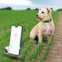 AirTag Dog Collar - Genuine Leather Dog Collar with Apple AirTag Holder and Metal Buckle - Smart GPS Tracking Pet Collars (Dark Green, M, 14"-18" Neck Fit)