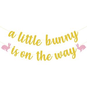 Bunny Baby Shower Party Decorations, A Little Bunny Is On The Way Banner for Spring Easter Themed Baby Girls Gender Reveal Party Supplie
