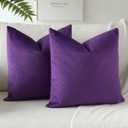 OTOSTAR Velvet Soft Decorative Throw Pillow Covers 24 x 24 Inch Solid Square Cushion Case Home Decor Pillow Covers for Couch Sofa Living Room Bedroom Decorative Pillowcases Set of 2 (Purple)