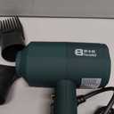 Dog Cat Hair Dryer,Professinal Double Force Grooming Blower Dryer for Medium/Small Pets, Green