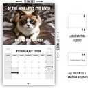 Peed Off Angry Cats Wall Calendar 2026 - Funny Cat Memes, Gifts for Cat Lovers, Monthly Hanging Format, Includes Hilarious Cat-Themed Humor, Ideal for Home or Office Decoration