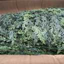 5FT Real Touch Cedar Topiary Trees for Front Porch Decor, Artificial Shrubs Faux Plants Potted UV Resistant Fake Greenery for Outdoor Indoor Door Garden Farmhouse Home Decoration (Set of 2)