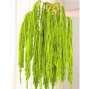 10Pcs Neon Green Dried Amaranthus Hanging Flowers 23" Dyed Natural Preserved Flowers for Wedding Arch, Floral Garland, Rustic Vase Decor