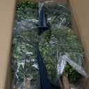 HOME GROWN Bonsai Tree Kit  Grow 4 Bonsai Types Indoors with Complete Starter Kit Including Pots Peat Pellets and Bonus Grow Guide  Unique Gardening Gift for Men Women Beginners