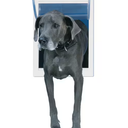Replacement Flap 15 in. x 20 in. for Original and Aluminum Pet Door