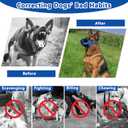 Adjustable Dog Muzzles, Anti Biting Barking Chewing Soft Mesh Dogs Muzzle, Breathable Pet Muzzle Suit for Small, Medium, Large Dog, Muzzle that Allow Dogs Drinking (Blue, Large)