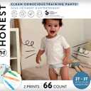 The Honest Company Clean Conscious Training Pants for Sensitive Skin, Hypoallergenic, Fragrance-Free, Let's Color See Me Rollin', Size 2T/3T (up to 34 lbs), 66 Count