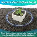 Mulctun 45Lb Horticultural Lava Rock-Lava Rocks for Plants,Succulent Soil Amendment,Decorative Cactus Soil Potting Mix,Volcanic Rock for Aquarium Fairy Gardening Top Dressing Plant Drainage