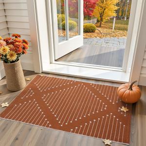 LIVEBOX Burnt Orange Entryway Rug, Washable Front Door Rug Cotton Blend Kitchen Rugs, Boho Woven Area Rug Throw Carpet for Layered Porch Halloween Decor Rugs (2.4' x 3.7')