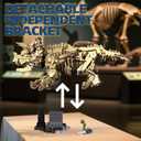 Myth Qholve Triceratops Fossil Skeleton Building Block Set Movable Dinosaur Model with Articulated Joints Educational STEM Construction Toy for Kids & Collectors