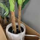 Artificial Fiddle Leaf Fig Tree 6FT with White Tall Planter-Large Faux Tree Tall Fake Floor Plant in Pot,Artificial Plants Indoor for Home Office Living Room Décor(Lyrata 6FT)