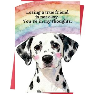 3 x Loss of Dog Sympathy Gift Dog Bereavement Gift & Pet Loss Sympathy Card for Dog Passing Away
