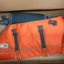Outward Hound Granby Splash Orange Dog Life Jacket, XL