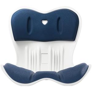 Ergonomic back support office chair cushion, back cushion for posture correction, suitable for long sitting to relieve low back pain - back posture corrector (blue, Standard size-(17.5inch*16.5inch))
