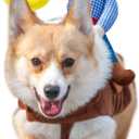 2 x ISMARTEN Cowboy Rider Dog Costume for Dogs Outfit Knight Style with Hat Pet Costume for Halloween Day (X-Large)