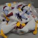 Blueweenly 20 Set Adopt A Puppy Favors 20 Small Stuffed Dogs Bulk with Kraft Paper Boxes Adoption Cards 1 White Fence and 1 Paper Sign for Adopt A Pet Party(Goose)