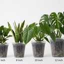 12 pcs 12/10/8/7 inch Large Clear Nursery Pot with Drainage Holes,Reusable Thick Plastic planters for repotting Orchid,Monstera,Aroid, Indoor and Oudoor use