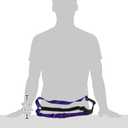 PetSafe Easy Walk No-Pull Dog Harness - Ultimate Harness to Help Stop Pulling - Pull-Free Walks - Take Control & Teach Better Leash Manners - Patented Martingale Loop Design - Deep Purple, Large