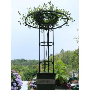 Indoor Planting Trellis for Climbing Plants, Climbing Support for Vine Flowers, Iron Trellis for Indoor/Outdoor Gardens, Umbrella Structure, Sturdy Plant Support Fram