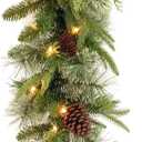 National Tree Company Pre-Lit 'Feel Real' Artificial Christmas Garland, Green, Colonial Fir, Dual Color LED Lights, Decorated With Pine Cones, Christmas Collection, 9 Feet