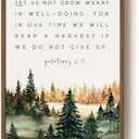 Framed Christian Wall Art, Galatians 6:9 Scripture Canvas Print, Rustic Bible Verse Artwork for Living Room Bedroom Office, 12x16 Inch