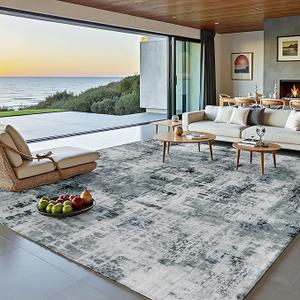 Nayoroom Modern Abstract Area Rug, Soft Machine Washable 8x10 Rug, Non-Slip, Non-Shedding, Durable and Easy-Care, Perfect for Living Room, Bedroom, Dining Room.