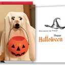 3 x Funny Halloween Card for Dog Lover, Cute Dog Halloween Card Gifts for Kids Friends Family, Trick Or Treat Dogs Cards, Happy Howl-o-Ween. (901)