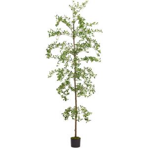 Shady Lady Faux Tree 7ft for Home Décor Black Olive Tree 84inches Realistic Fake Potted Plants with Moss Indoor Bucida Buceras Artificial Tall Trees with Natural Wood Trunk Housewarming Outdoor