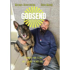 Godsend [DVD]