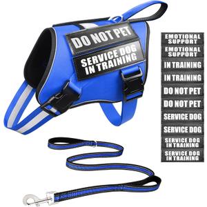 Service Dog Vest Harness and Leash Set+10 Patches,Easy Walk Blue S No Pull&Adjustable Reflective Dog Harness Small Sized,Dog Leash with 2 Soft Padded Handles,for Training Hiking Walking, Small