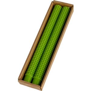 Creative Co-Op Hobnail Taper Candles in Box, Green, Set of 2 (10"H)