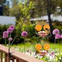 Jealoeur Oriole Feeders for Outdoors Hanging with Fruit Holder, Golden Oriole Feeders, Easy to Disassemble and Wash, Used for Bird Watching in the Courtyard