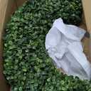 Boxwood Wreath - 20inch Outdoor/Indoor All Seasons Decor