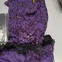 YESSA 1920s Flapper Dresses for Women Great Gatsby Dress Roaring 20s Costumes Sequin Harlem Nights Dress with 20s Accessories (Purple, S)