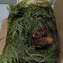 MIZII Christmas Garlands 10FT Artificial Pine Garland with Pinecone Berries Greenery Garland Christmas Decorations for Xmas Fireplace Mantle Home Decor Indoor Outdoor (Garland-10FT)