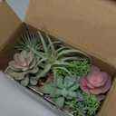 Der Rose 2 Pack Fake Plants Succulents Plants Artificial Cactus Plants in Wood Pots with Pink Flowers for Farmhouse Bathroom Decor
