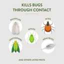 Garden Safe Brand Insecticidal Soap Insect Killer, 32 Fluid Ounces, For Organic Gardening, Kills Bugs Through Contact