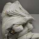 Quilt Set King Size Cream White with Black Branch Bedding Set 88x88 Soft Microfiber Lightweight Coverlet Bedspread Summer 3 Pc Bed Cover for (1 Quilt+ 2 Shams)