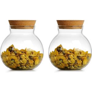 17oz Spherical Glass Jar with Cork Lid Airtight - Kitchen Glass Jar for Preserving and Storing candy, tea, Coffee, Spice, flour, Beans etc (2)