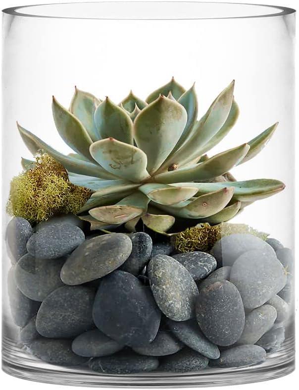 CYS Excel Large Clear Glass Cylinder Vase (H:12" D:10") Flower Vase Centerpieces Hurricane Floating Pillar Candle Holder Terrarium Planter
